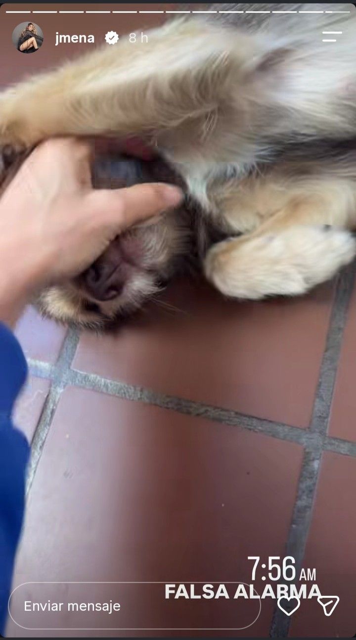 Lucy, la perra de Jimena Barón