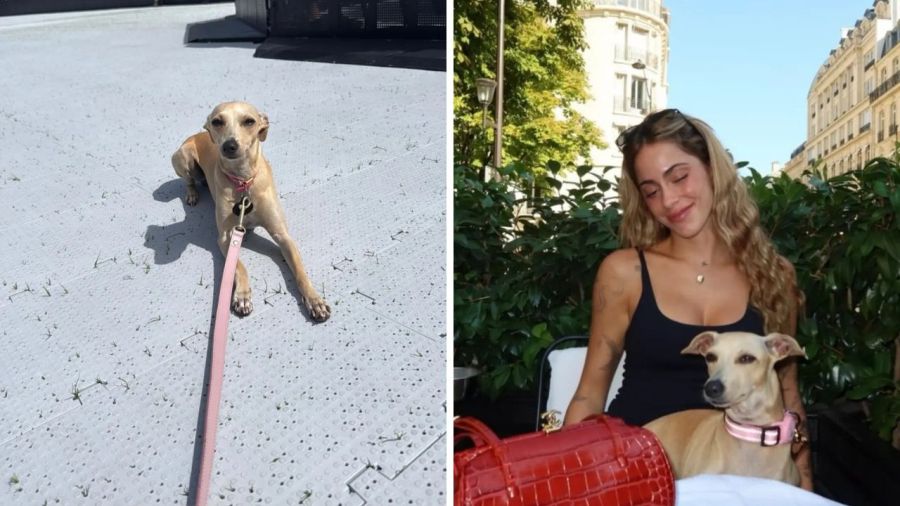 Tini Stoessel 