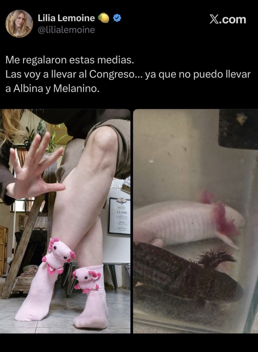Lilia Lemoine