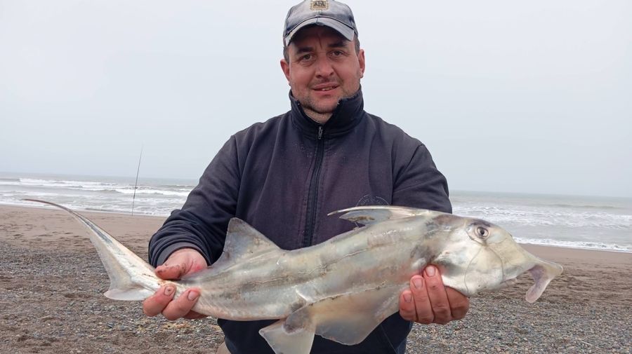 2910_mapa_pique_pesca
