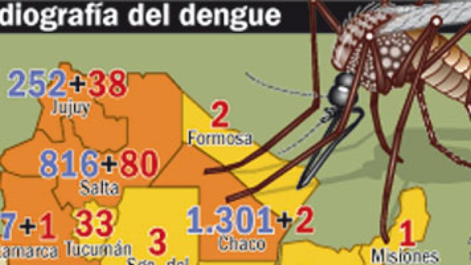 Radiografía del dengue en el país.