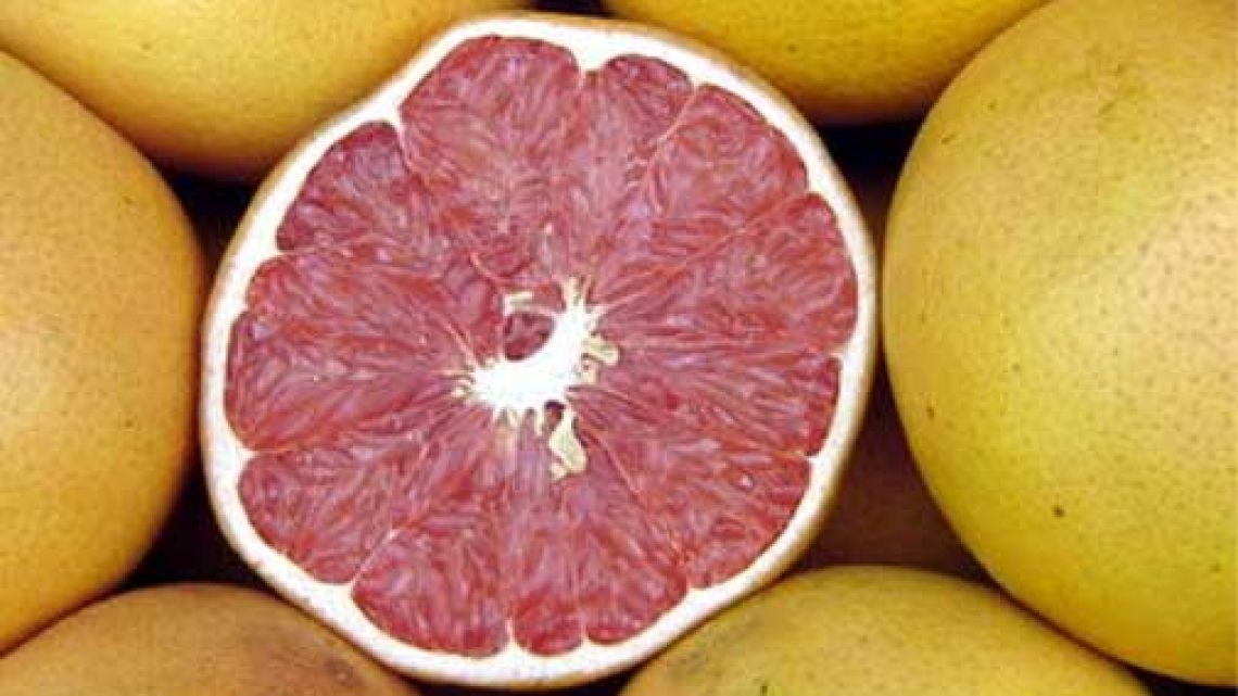 Ledesma quiere sumar los pomelos de Citrusalta Fortuna