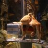 0629-pulpo-alemania-afp-g3