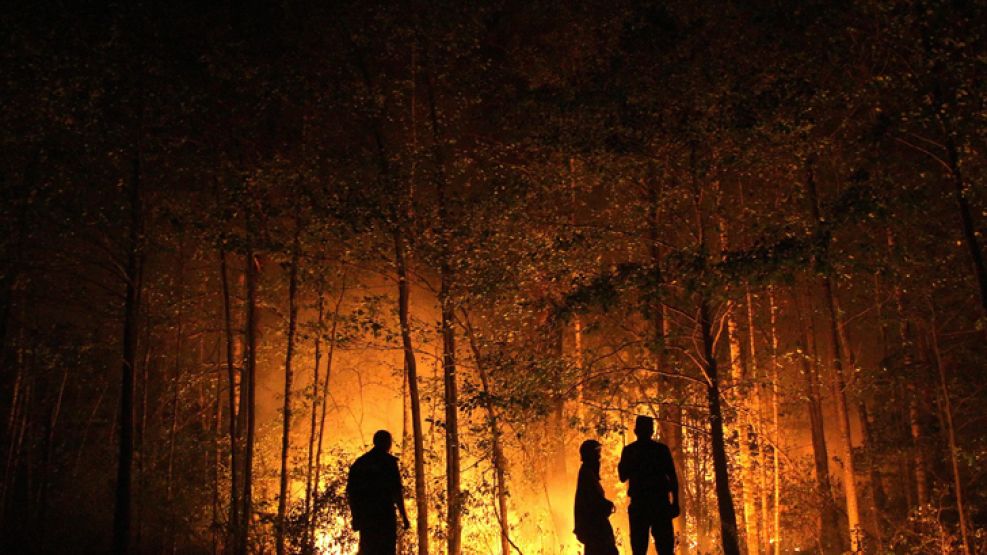 Varios bomberos colaboran en las tareas de extinción de un incendio declarado en un bosque cerca del pueblo de Malinovka, en la región de Ryazan.