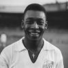 1023-pele-g14