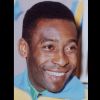 1023-pele-g17
