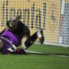 weidenfeller