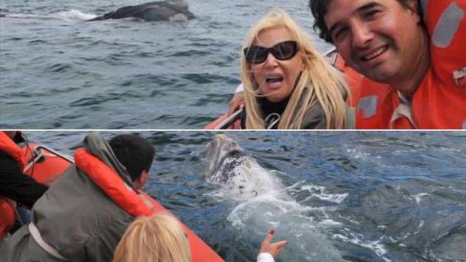 Su Giménez aprovechó su viaje a Chubut para disfrutar de un avistaje de ballenas