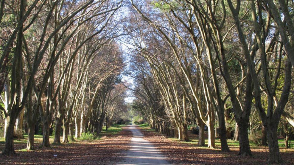 El parque Pereyra Iraola es un pulmón verde de 10.248 hectáreas declarado en 2008 Reserva de Biosfera por la UNESCO.