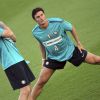 milito-zanetti