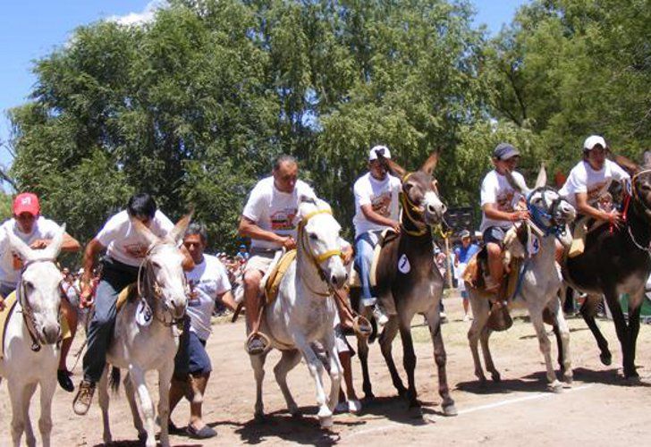 Burro Rodeo Insólito Rally de Burros en Córdoba | 442