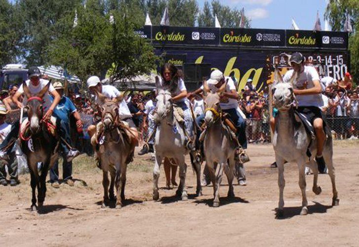 Burro Rodeo Virginia Gallardo y Vanina Escudero en el Rally de Burros | Exitoina