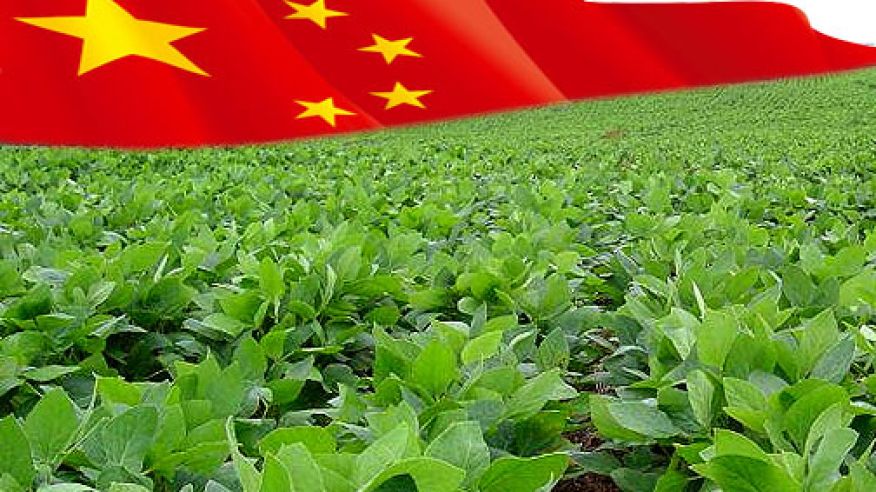 china-realiza-una-importante-compra-de-aceite-de-soja