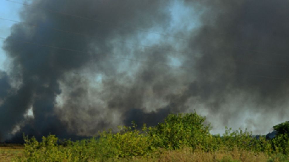 El fuego alcanzó 300 hectáreas de la Reserva Natural Otamendi.