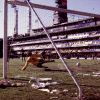 a-30-anos-del-debut-de-maradona-en-boca