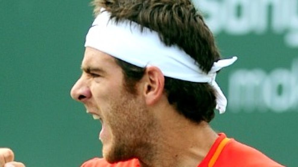 El grito de un Del Potro ganador ante Dolgopolov.