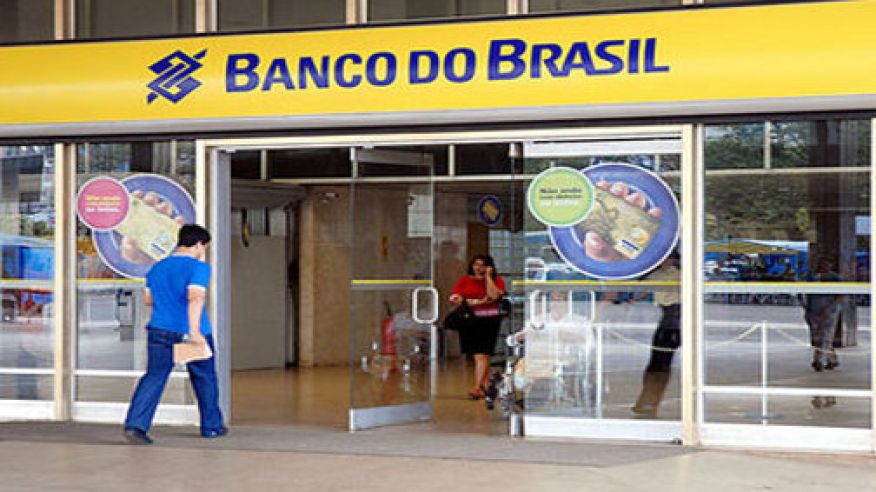 baco-do-brasil