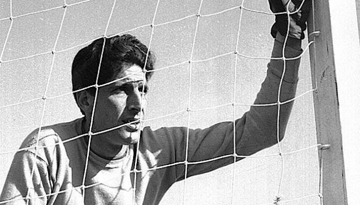 rogelio-dominguez-real