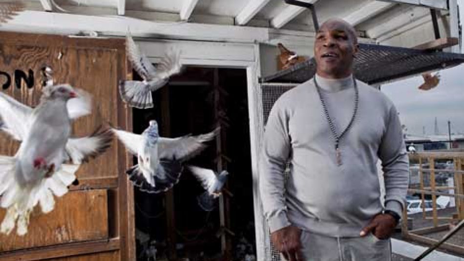 Tyson con sus palomas