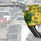 biodiesel-pump-with-flowers