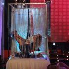 El musical de Peter Alfonso y Paula Chaves