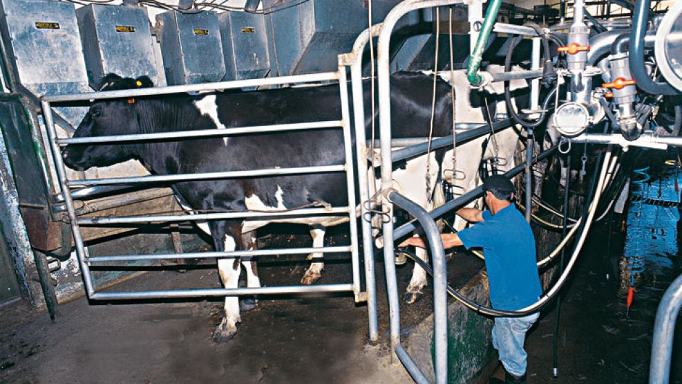 Los tamberos cobraron el litro de leche cruda a un promedio de 1,56 pesos.