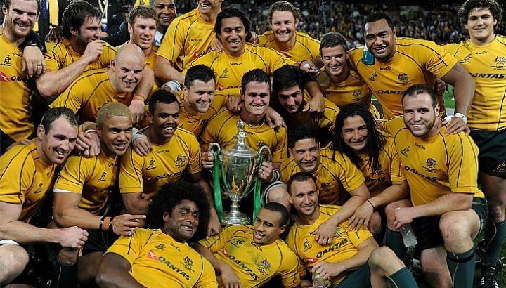 wallabies