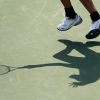 polona-hercog