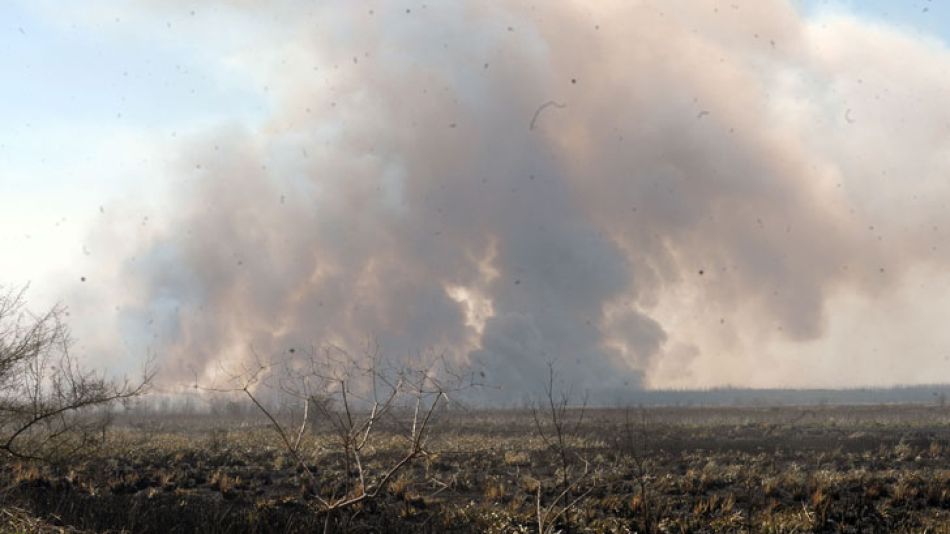 El incendio habría afectado un área de 900 hectáreas de pastizales.