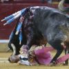 juan-jose-padilla