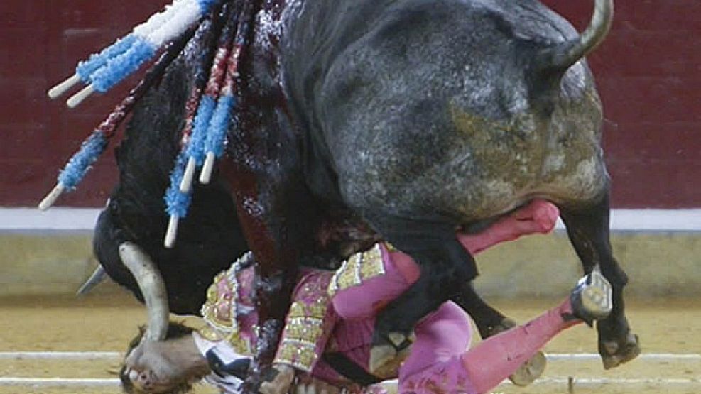 Un torero español recibió una gravísima cornada.