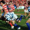 el-sic-bicampeon