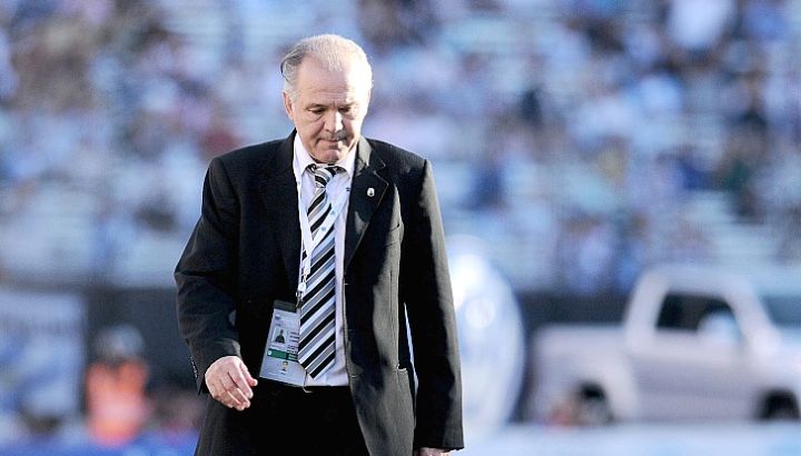 sabella