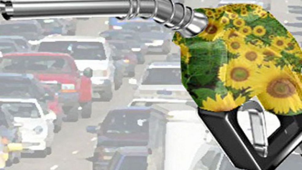 Ensayan cortes de biodiesel al 10% para autos y 20% en transporte pesado.