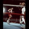 los-70-de-ali-en-70-fotos