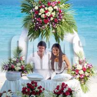 quintana_1