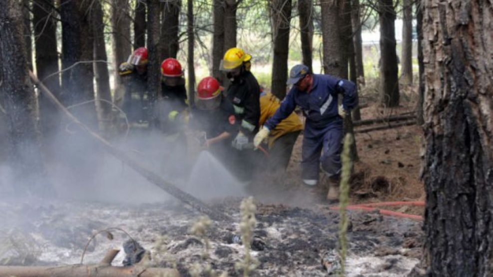 Bomberos combaten las llamas entre El Hoyo y Epuyen.