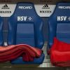 suplentes