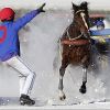 equitacion