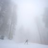 nieve