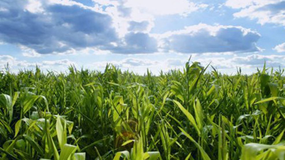 El empresario José Porta, ahora se dedica a la producción de bioetanol de maíz.