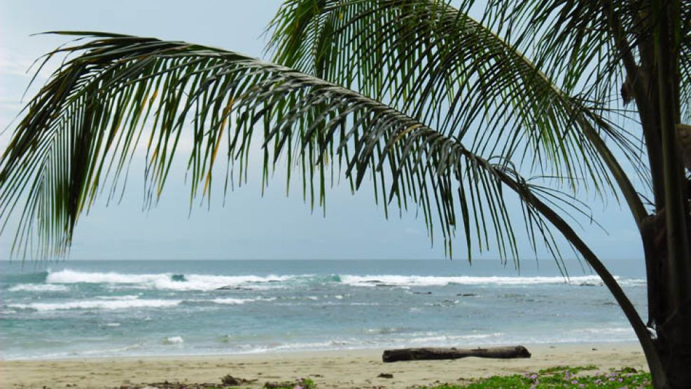 En Costa Rica no existe invierno ni verano sino las temporadas lluviosa y seca. 
