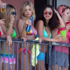 Springbreak 37