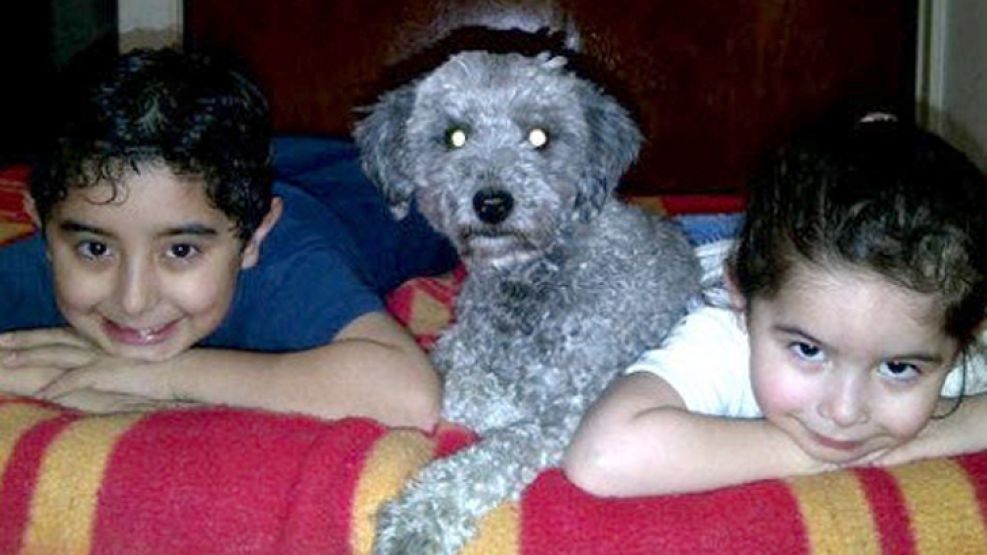 Caniche toy. Los hijos de Alejandra Navarro con su mascota.