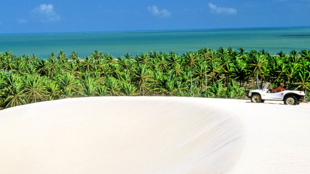 Praia do Forte se encuentra 60 km al norte de San Salvador de Bahía, y se accede por la ?ruta de los cocos?.