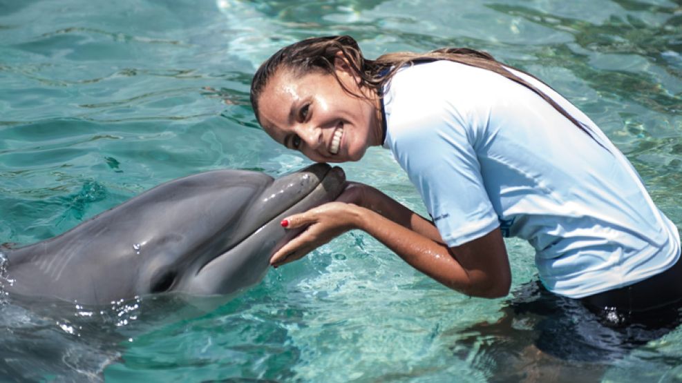 Dulko nadó con delfines en Miami.