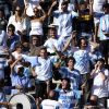 hinchas-davis