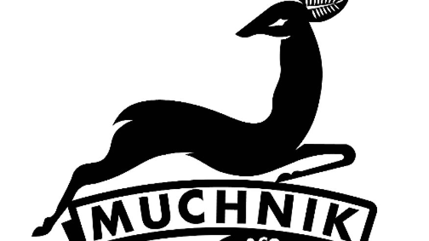 logo-muchnikco