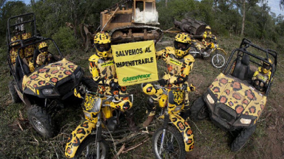 Activistas de Greenpeace bloquearon una topadora que iba a desmontar en El Impenetrable chaqueño.