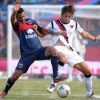 colon-vs-tigre